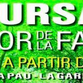 CORRE PEL COR DE LA FAGEDA