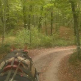 La Fageda a la tardor amb Acticitats Garrotxa