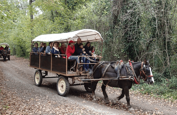 Experiències locals i viatges amb encant a la Garrotxa