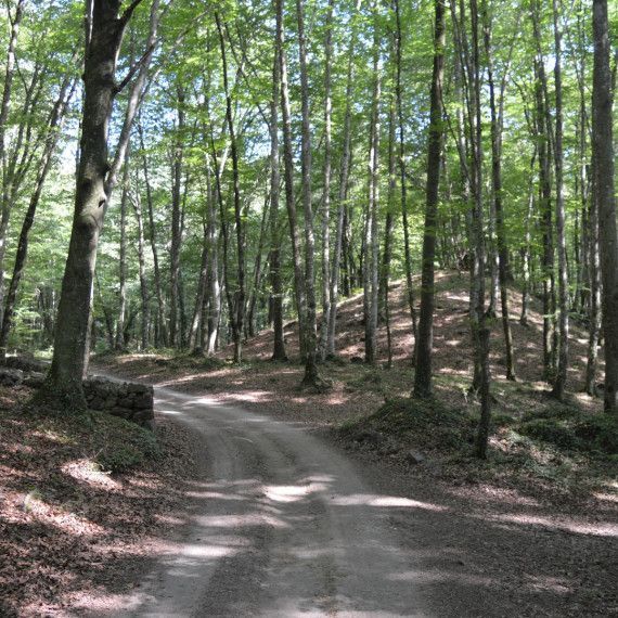 projecte la Garrotxa Terra de Volcans 2,6 milions euros.