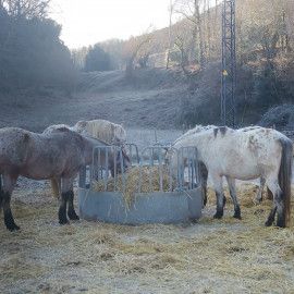rutes a cavall per la garrotxa