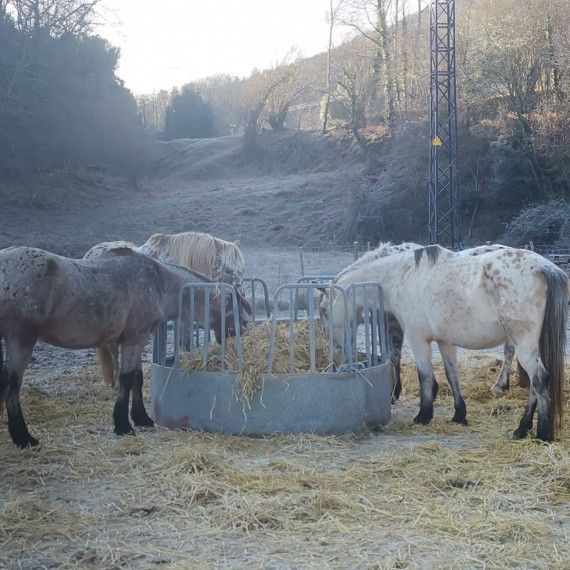 rutes a cavall per la garrotxa