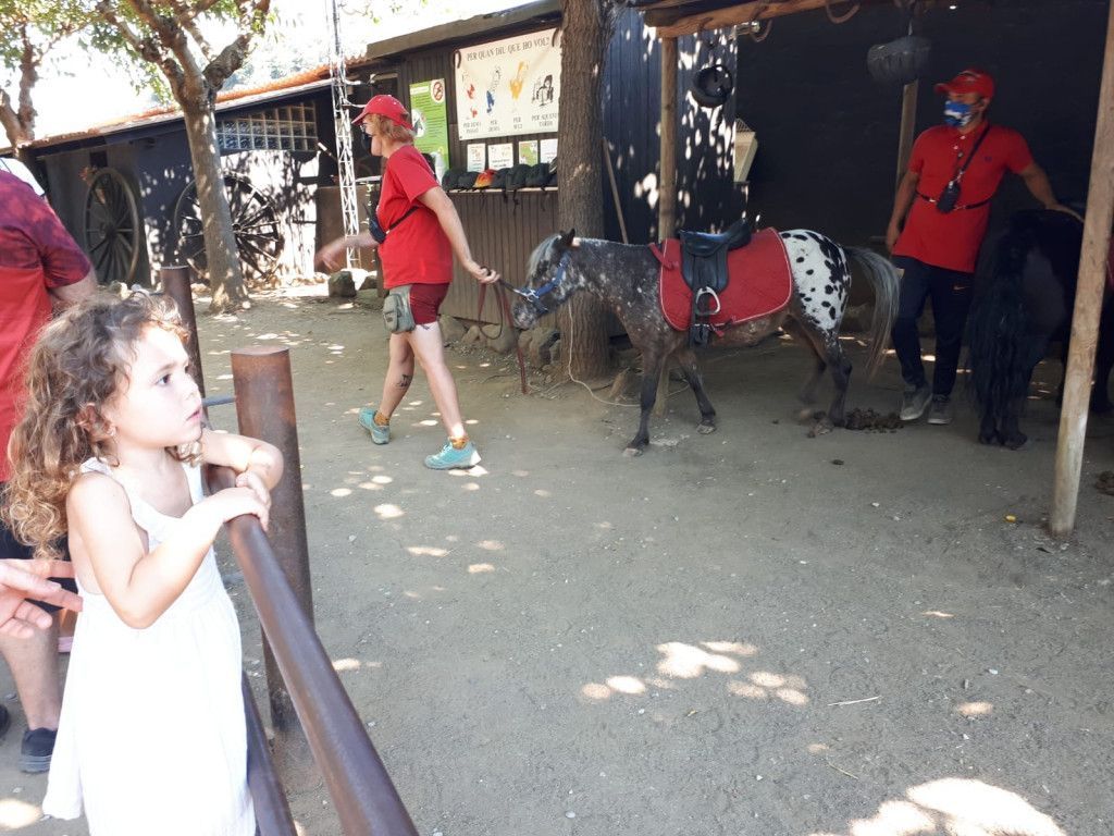 Ponis i cavalls de la Garrotxa