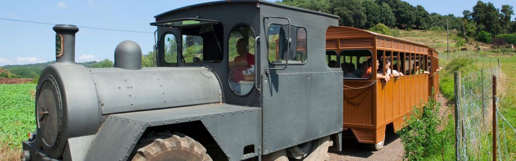 visitar la garrotxa