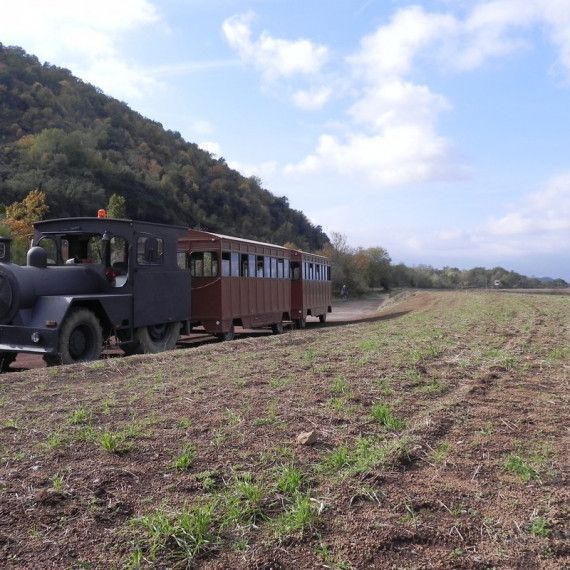 activitats per la Garrotxa