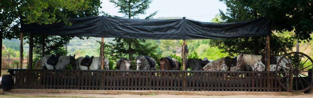 rutes a cavall per la garrotxa