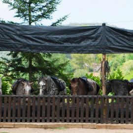 rutes a cavall per la garrotxa