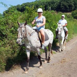 passeig a cavall per la Fageda