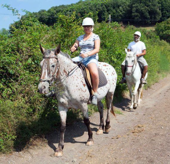 passeig a cavall per la Fageda