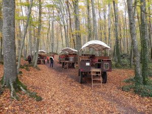 reservar carruatges fageda