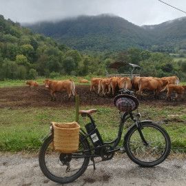 escapada per la Garrotxa