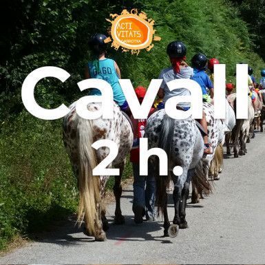 Ruta con caballos por los volcanes