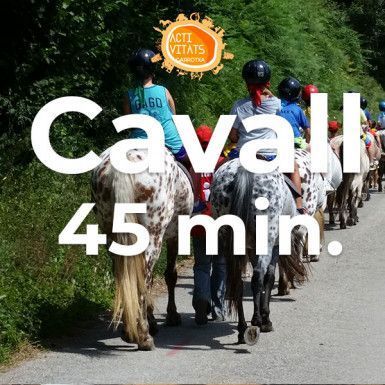 Ruta con caballos por los volcanes