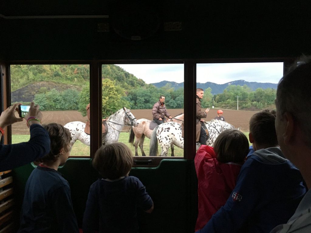 montar a caballo en la garrotxa