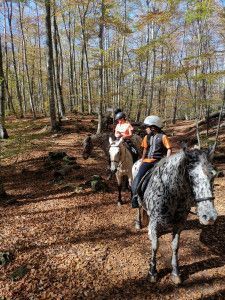 ruta por la fageda en caballo