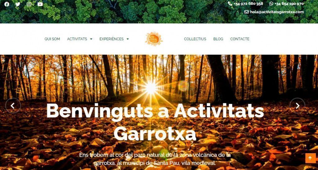 nova pàgina web