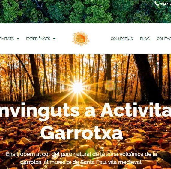 nova pàgina web