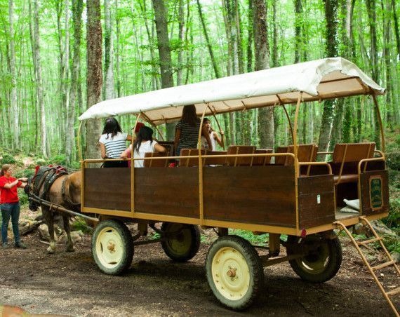 reserva carruatges la fageda d'en jorda