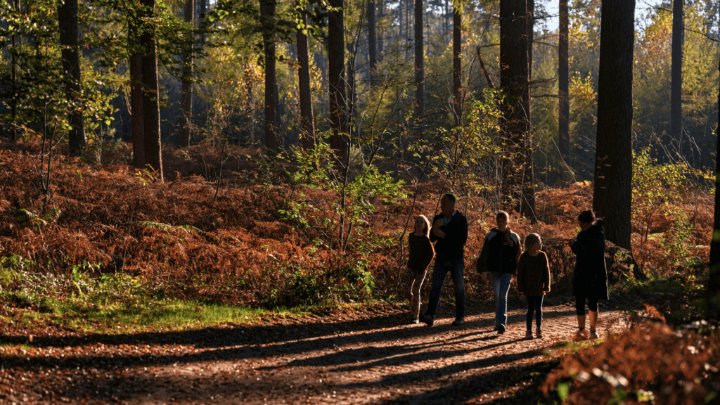 Rutes Familiars a la Zona Volcànica de Garrotxa