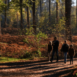 Rutes Familiars a la Zona Volcànica de Garrotxa