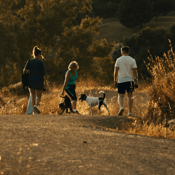 Rutes Naturals i Senderisme a Santa Pau